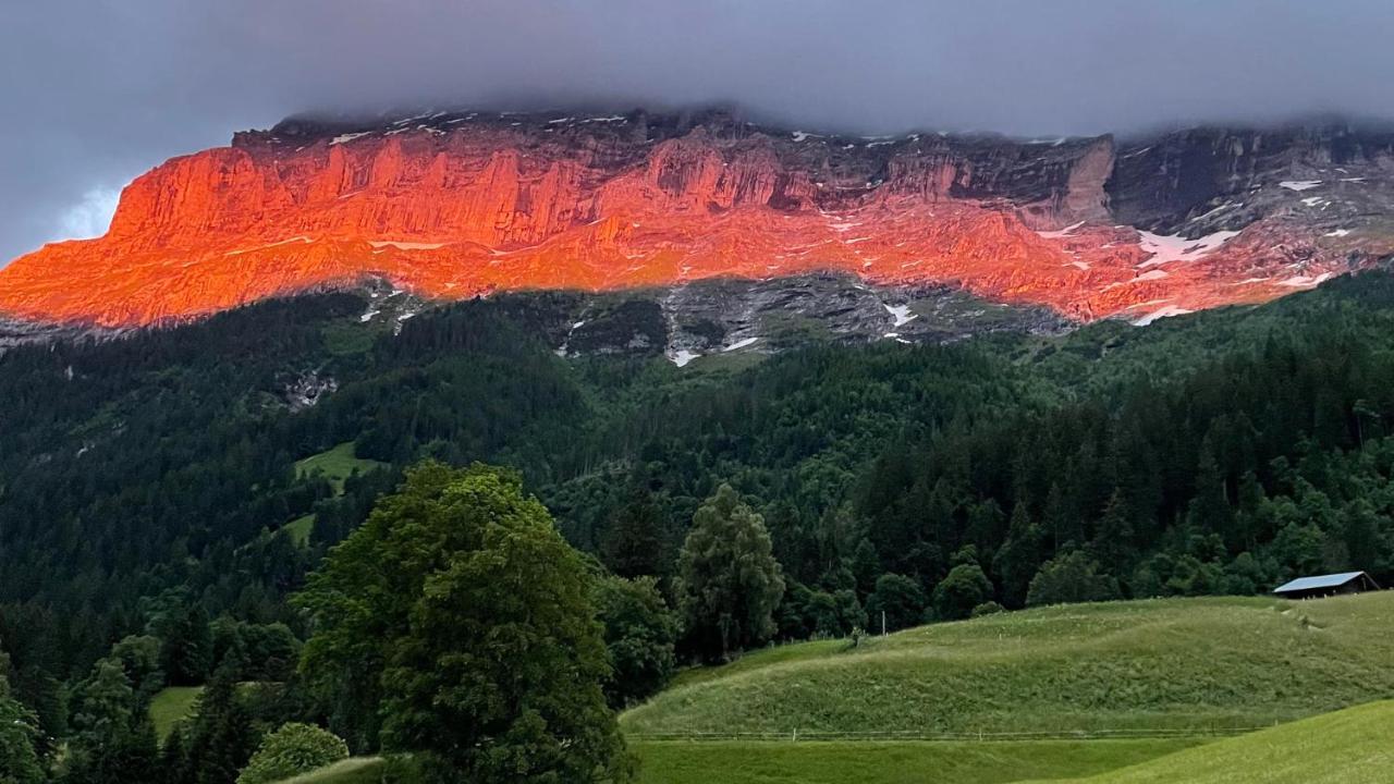 Ferienwohnung Im Gruenen Grindelwald