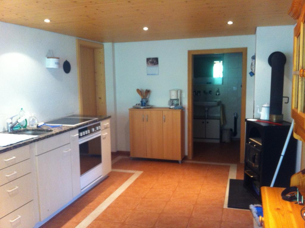 Apartment Ferienwohnung Im Gruenen Grindelwald