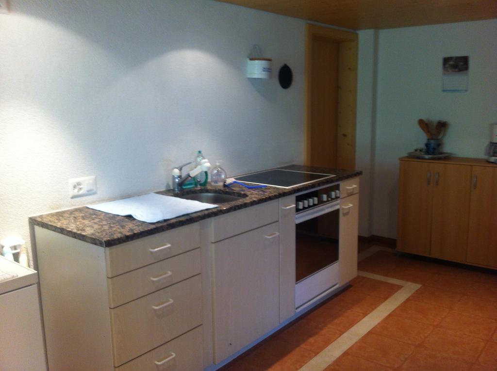 Apartment Ferienwohnung Im Gruenen Grindelwald