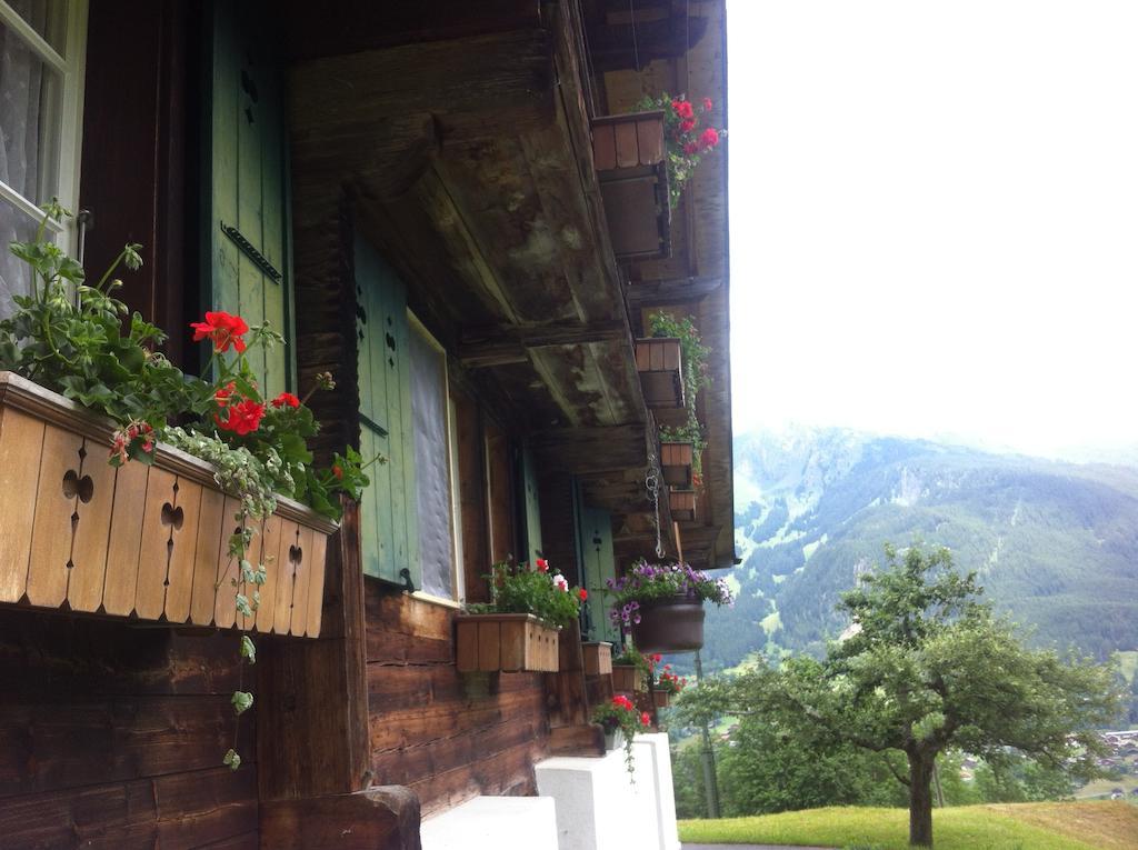 Appartement Im Gruenen