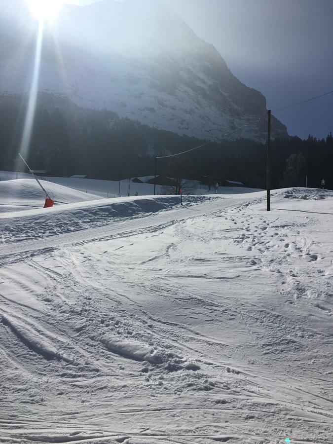 Apartment Ferienwohnung Im Gruenen Grindelwald