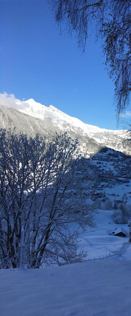 Apartment Ferienwohnung Im Gruenen Grindelwald
