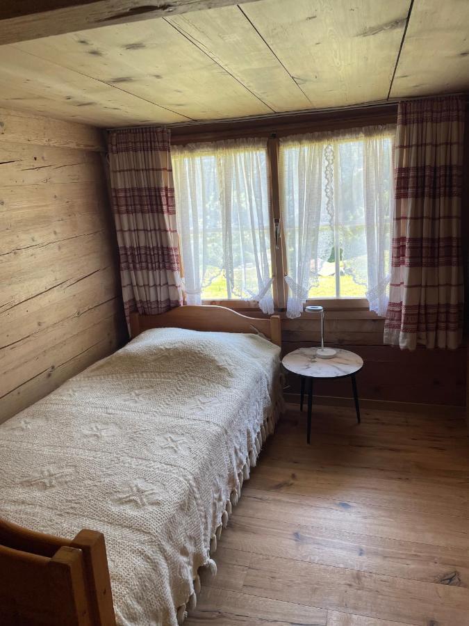 Im Gruenen Apartmán Grindelwald